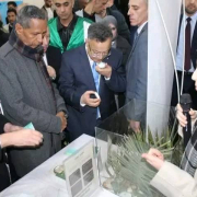 زيارة